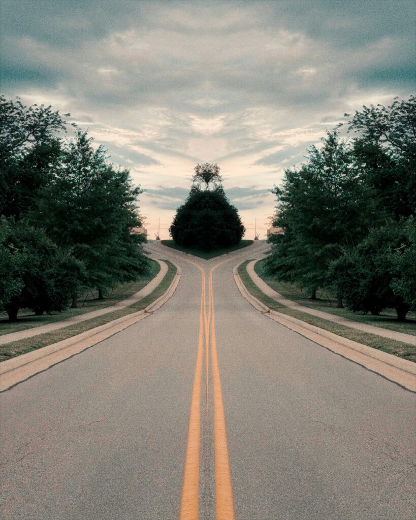 IDP Full Form two roads to choose from.